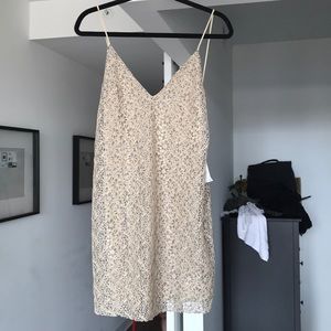 zara mini lace dress